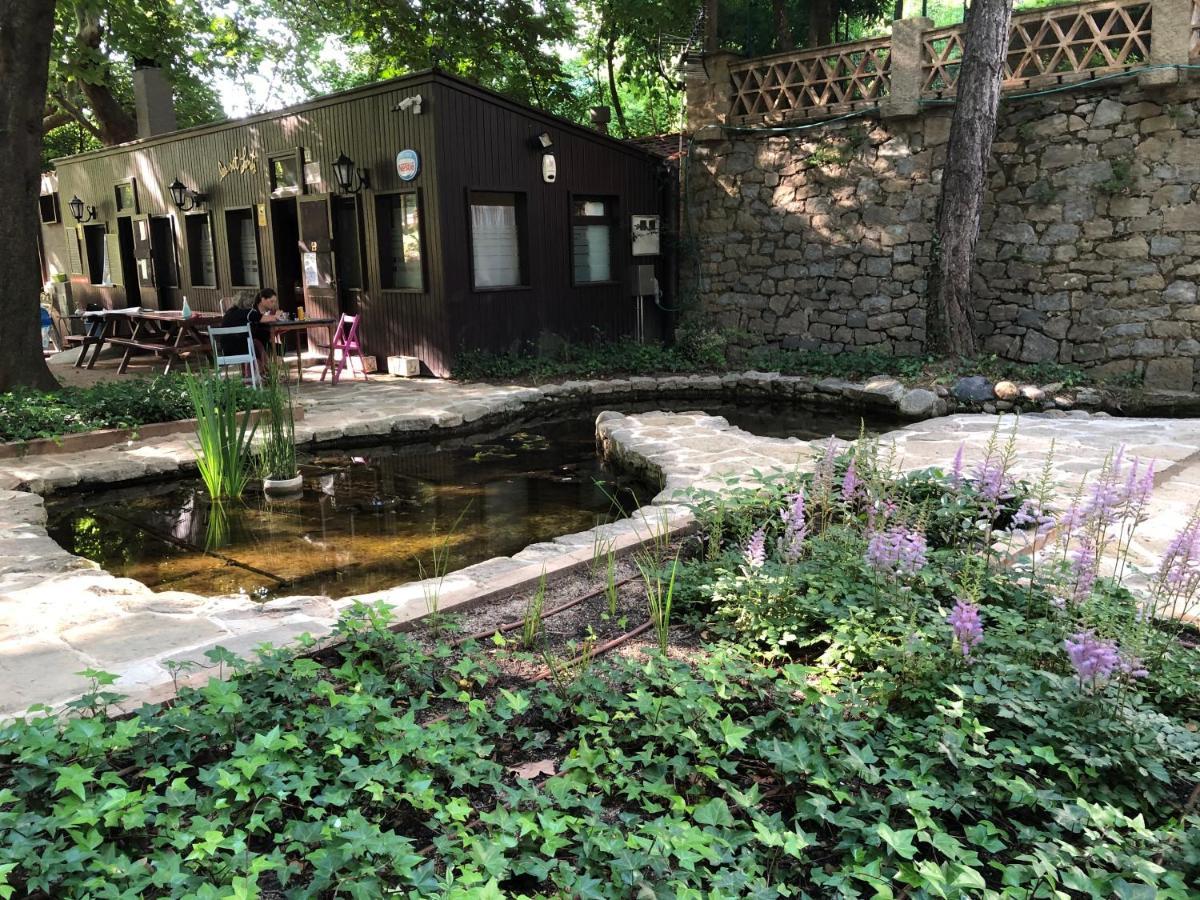 Escloper B&B Sant Juliá de Vilatorta Екстериор снимка
